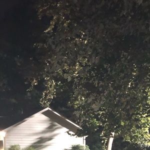 Meet your Posher, Jack